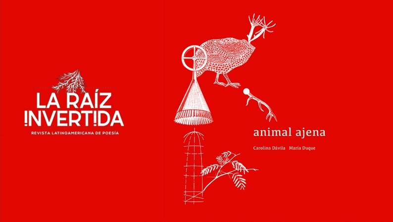 Espécimen 547025 (Sobre Animal ajena de Carolina Dávila) 